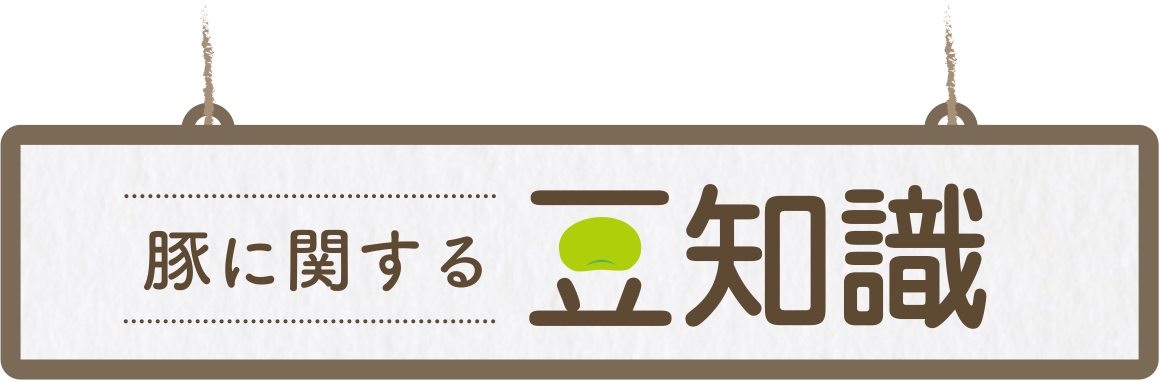 豚に関する豆知識