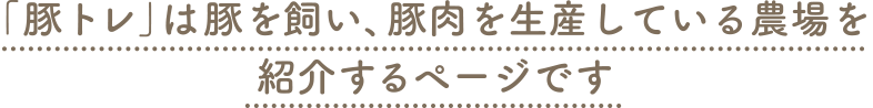 「豚トレ」は豚を飼い、豚肉を生産している農場を紹介するページです
